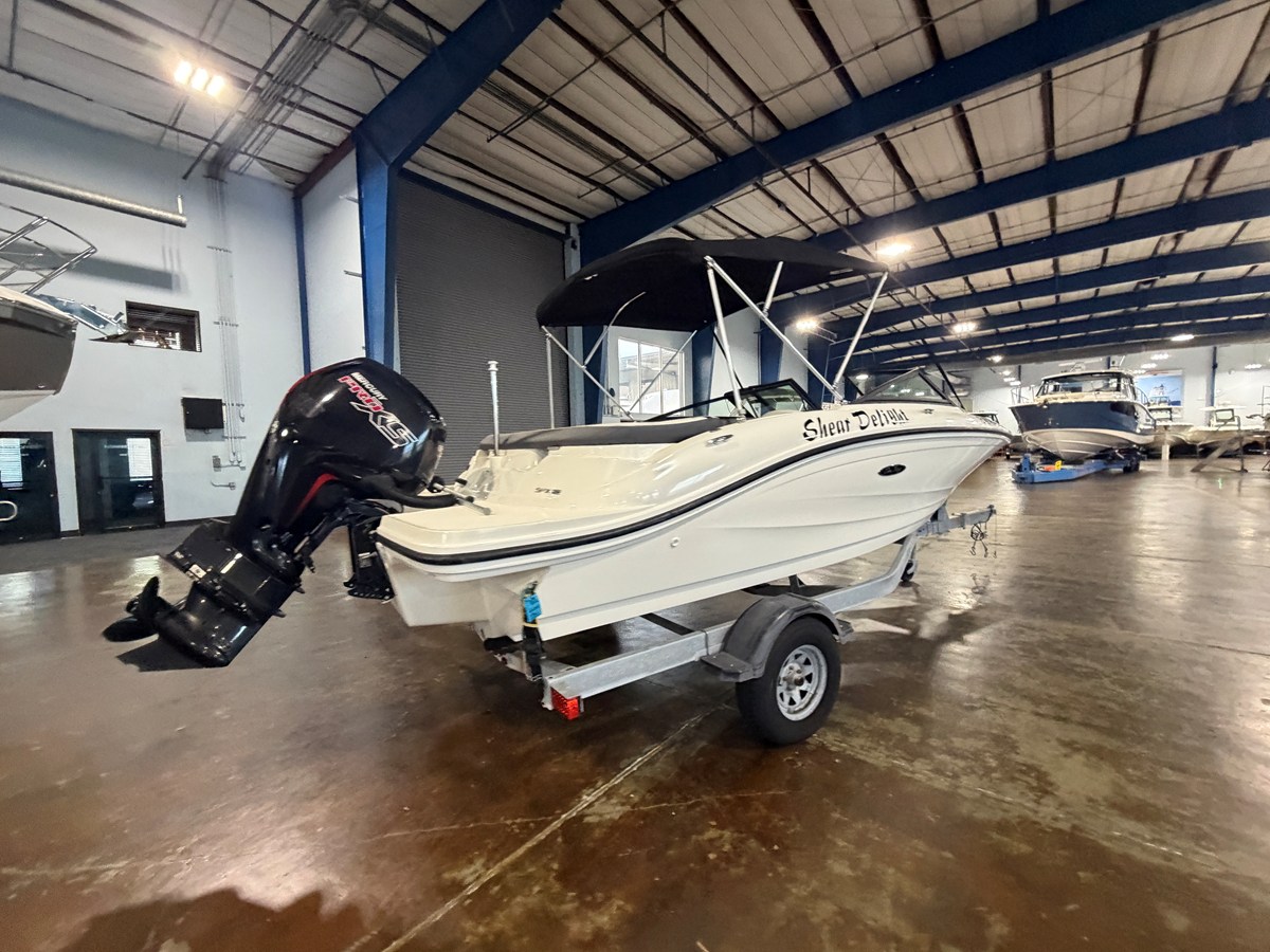 2018 Sea Ray 190 SPX OB 6