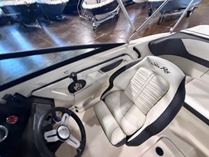 Sea Ray 190 SPX OB 10 2018 Sea Ray 190 SPX OB 11