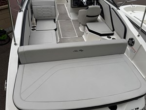 2025 Sea Ray 21 SPX 9