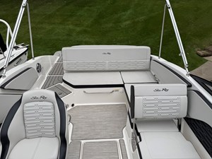 2025 Sea Ray 21 SPX 14