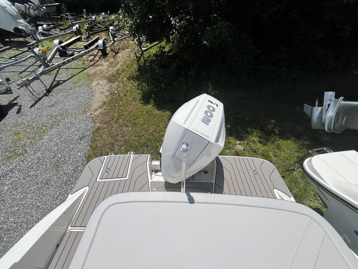 2026 Sea Ray SPX 210 Outboard 2