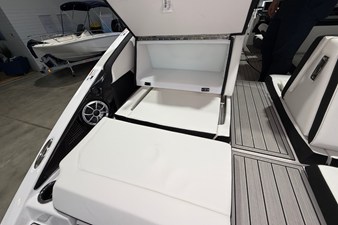 2026 Yamaha 252SE 11
