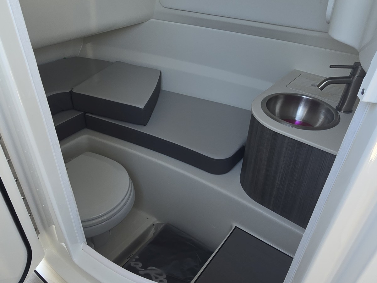 2027 Sea Ray SDX 250 Surf 30