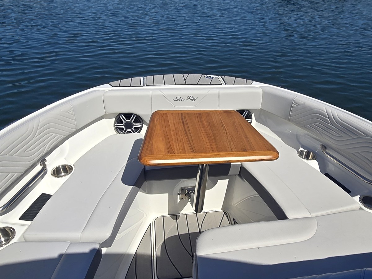 2027 Sea Ray SDX 250 Surf 35