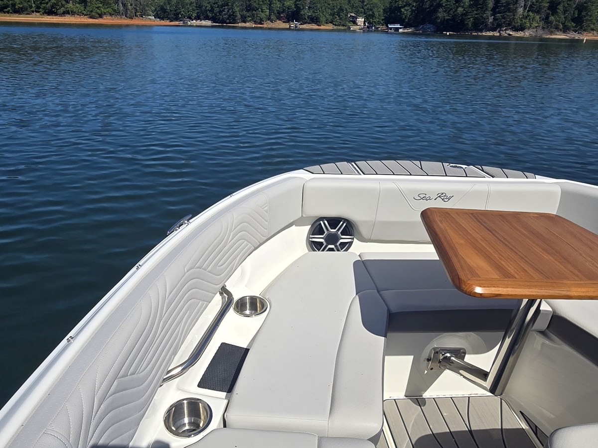 2027 Sea Ray SDX 250 Surf 36