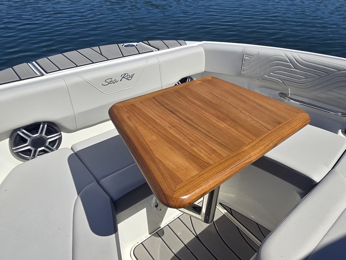 2027 Sea Ray SDX 250 Surf 37