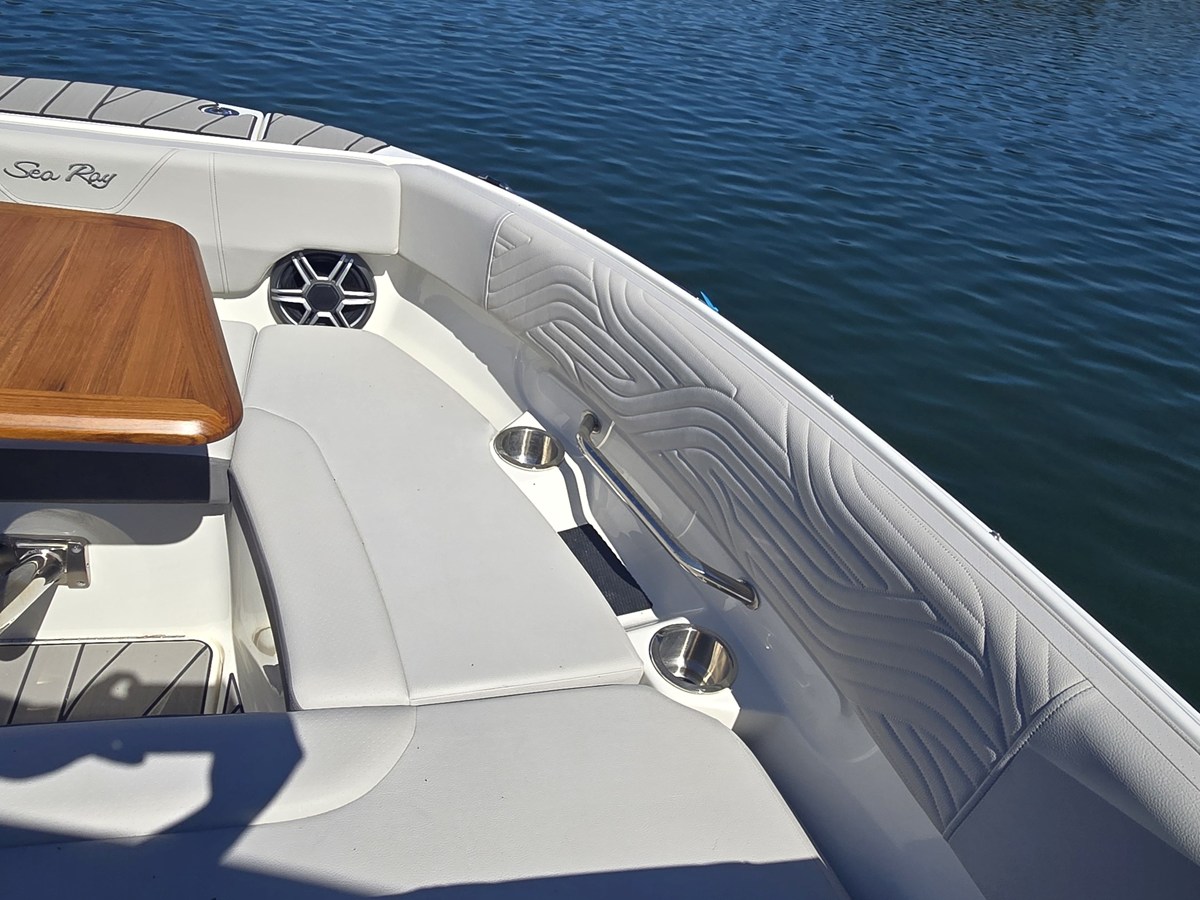 2027 Sea Ray SDX 250 Surf 38