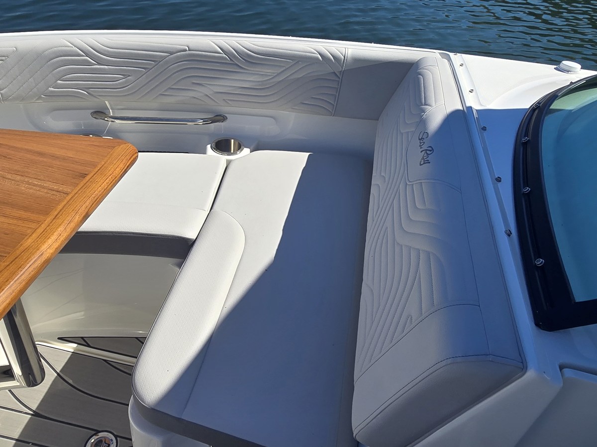 2027 Sea Ray SDX 250 Surf 39