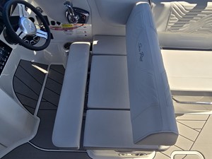 2027 Sea Ray SDX 250 Surf 20