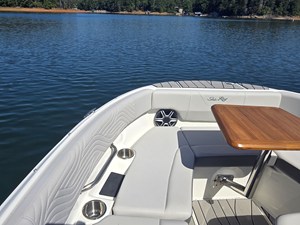 2027 Sea Ray SDX 250 Surf 36