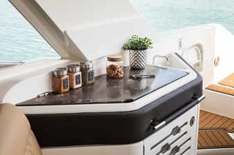 Sea Ray SLX 310 Outboard 20 2025 Sea Ray SLX 310 Outboard 21