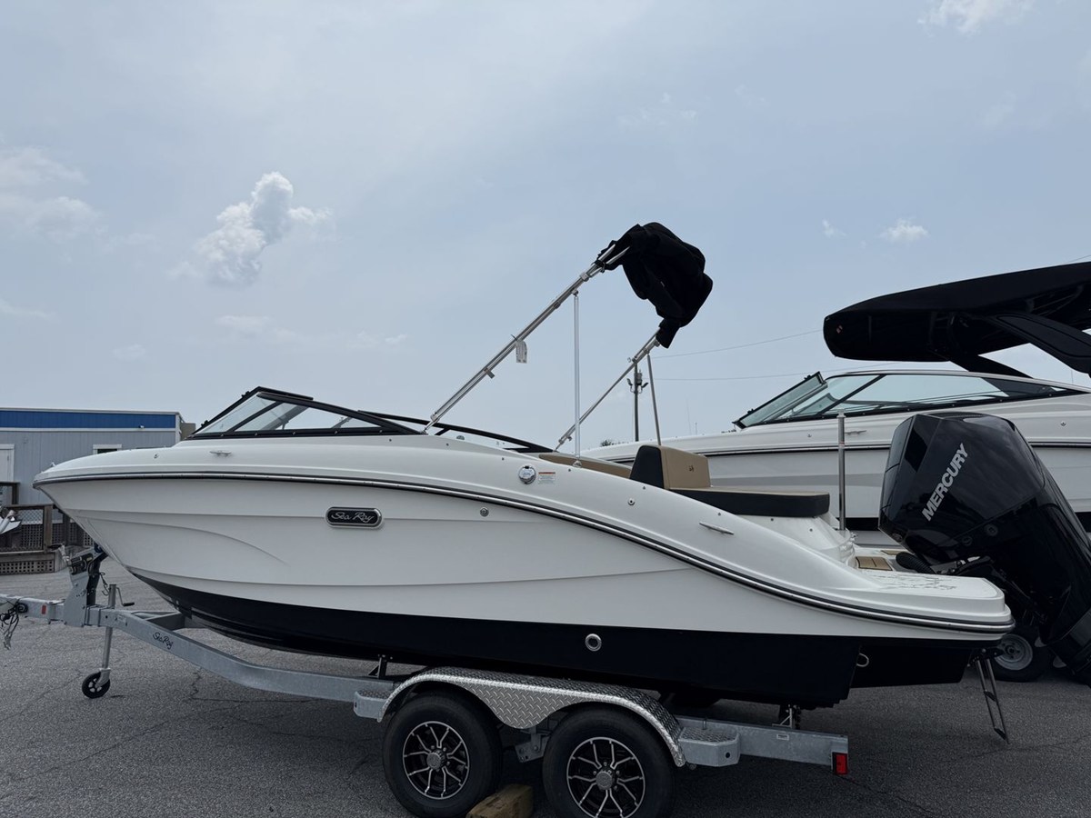 2026 Sea Ray SPX 210 Outboard 5