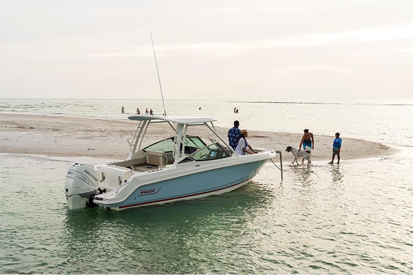 2027 Boston Whaler 240 Vantage 3