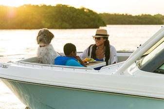 Boston Whaler 240 Vantage 63 2027 Boston Whaler 240 Vantage 64