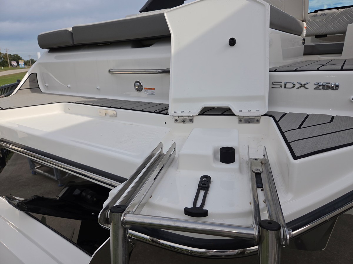 2026 Sea Ray SDX 250 7
