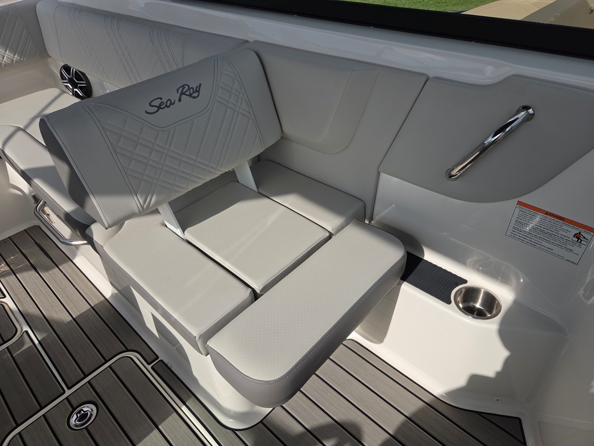 2026 Sea Ray SDX 250 22