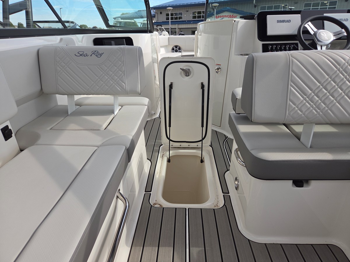 2026 Sea Ray SDX 250 34