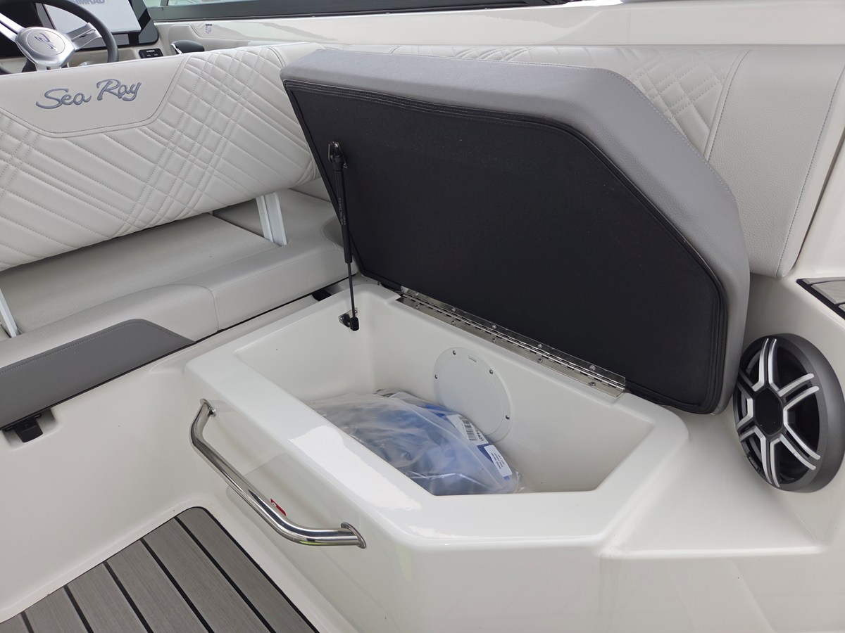 2026 Sea Ray SDX 250 40