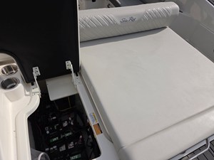 2026 Sea Ray SDX 250 11