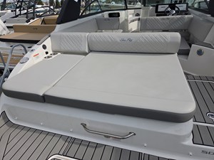 2026 Sea Ray SDX 250 12