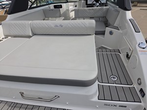 2026 Sea Ray SDX 250 13