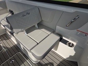 2026 Sea Ray SDX 250 22
