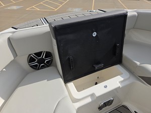 2026 Sea Ray SDX 250 24