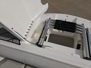 2026 Sea Ray SDX 250 28