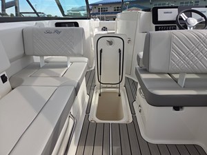 2026 Sea Ray SDX 250 34