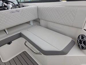2026 Sea Ray SDX 250 41