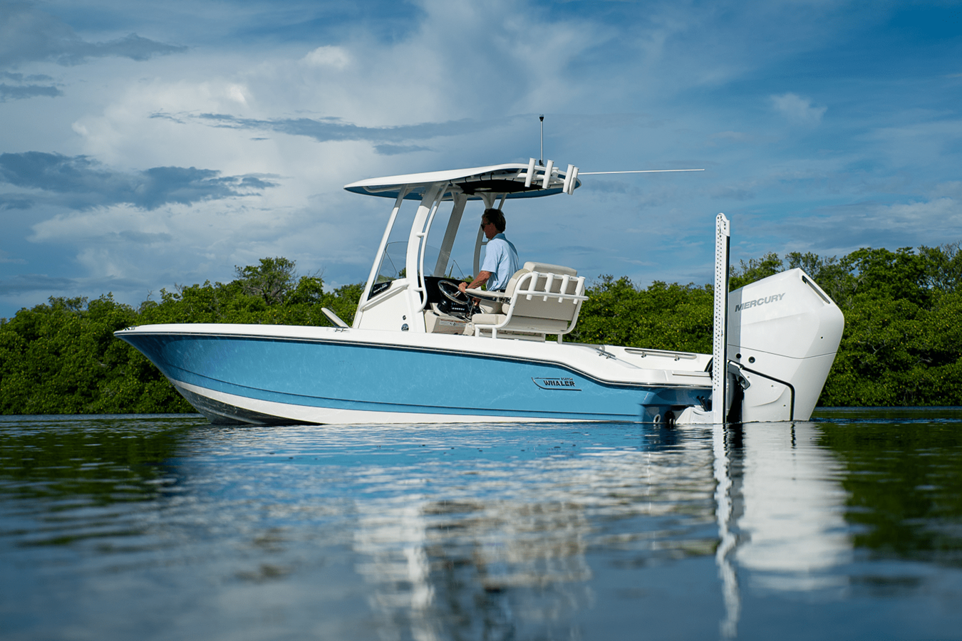 2026 Boston Whaler 250 Dauntless 2