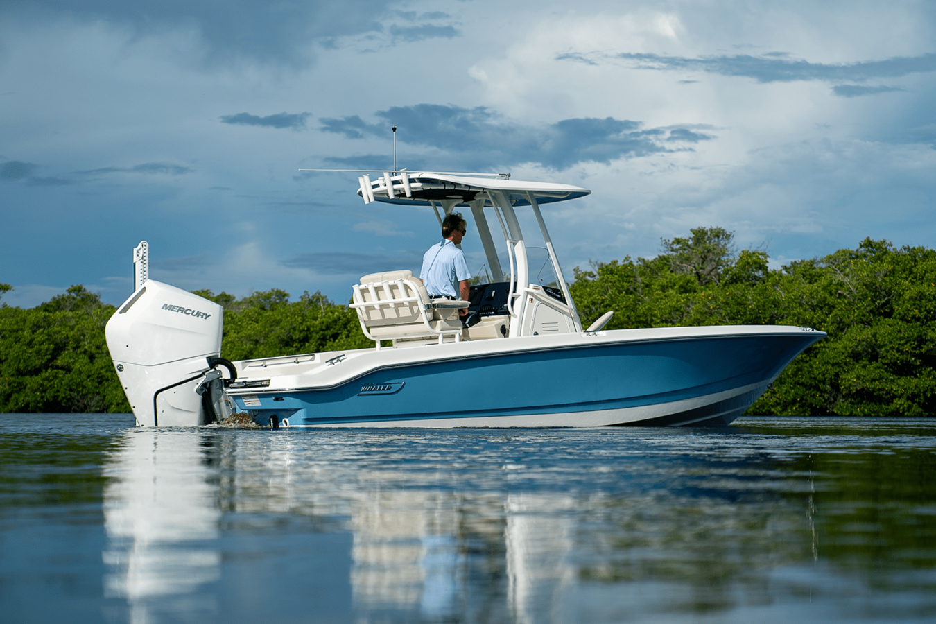 2026 Boston Whaler 250 Dauntless 3