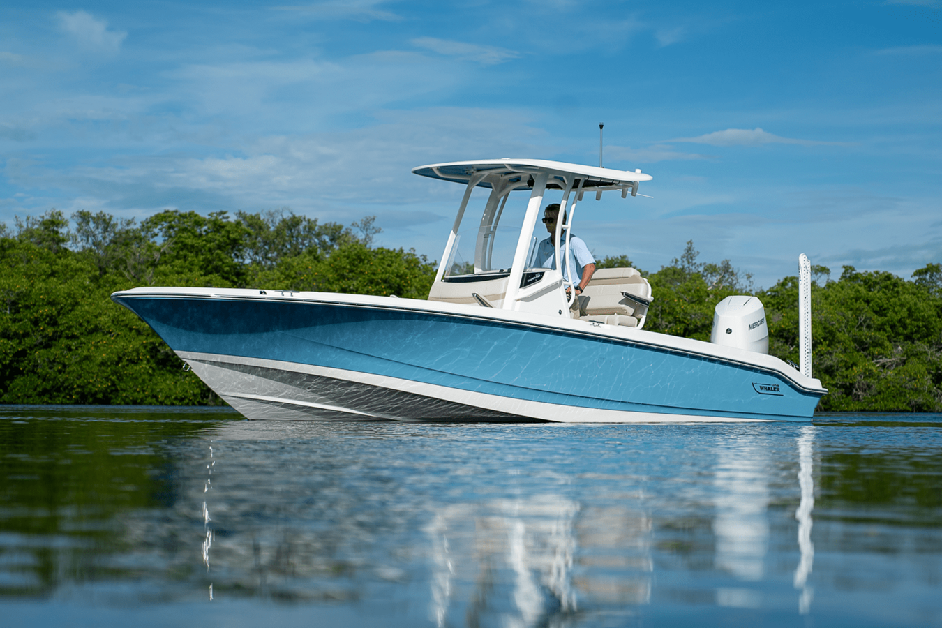2026 Boston Whaler 250 Dauntless 4