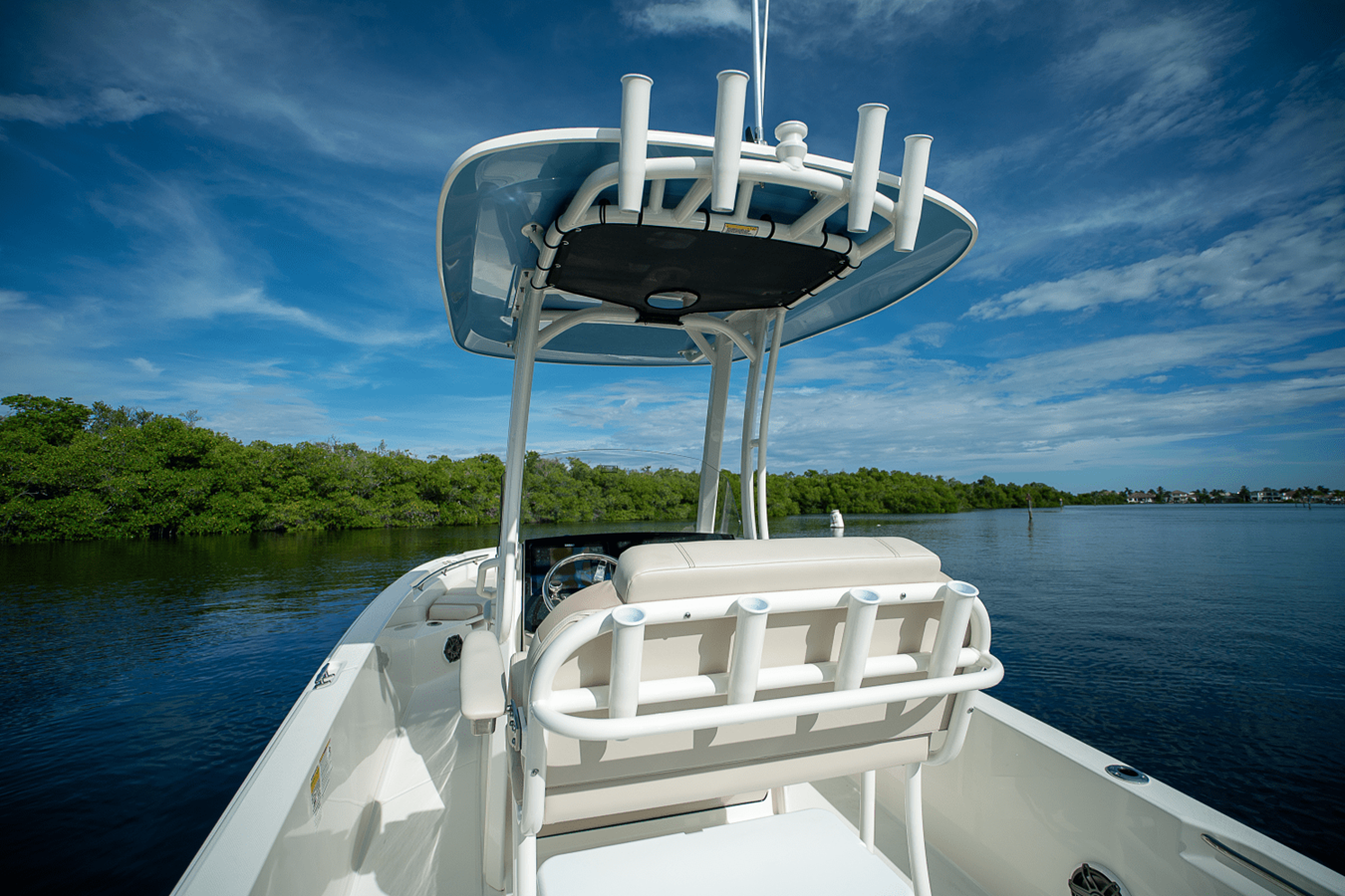 2026 Boston Whaler 250 Dauntless 6