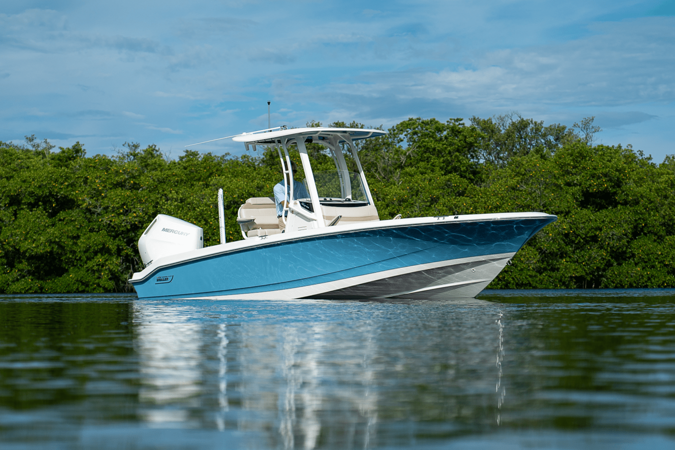 2026 Boston Whaler 250 Dauntless 24