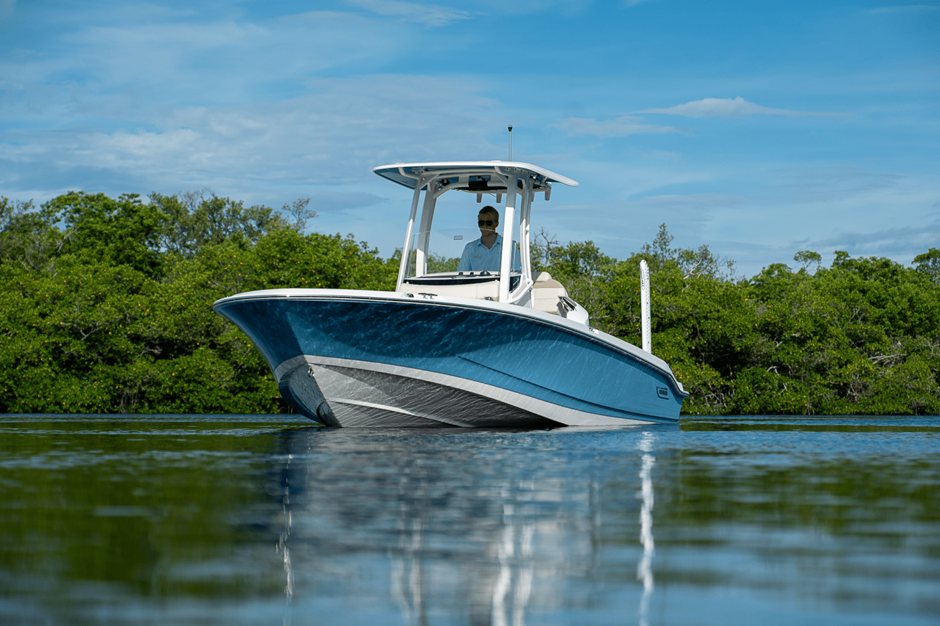 2026 Boston Whaler 250 Dauntless 27