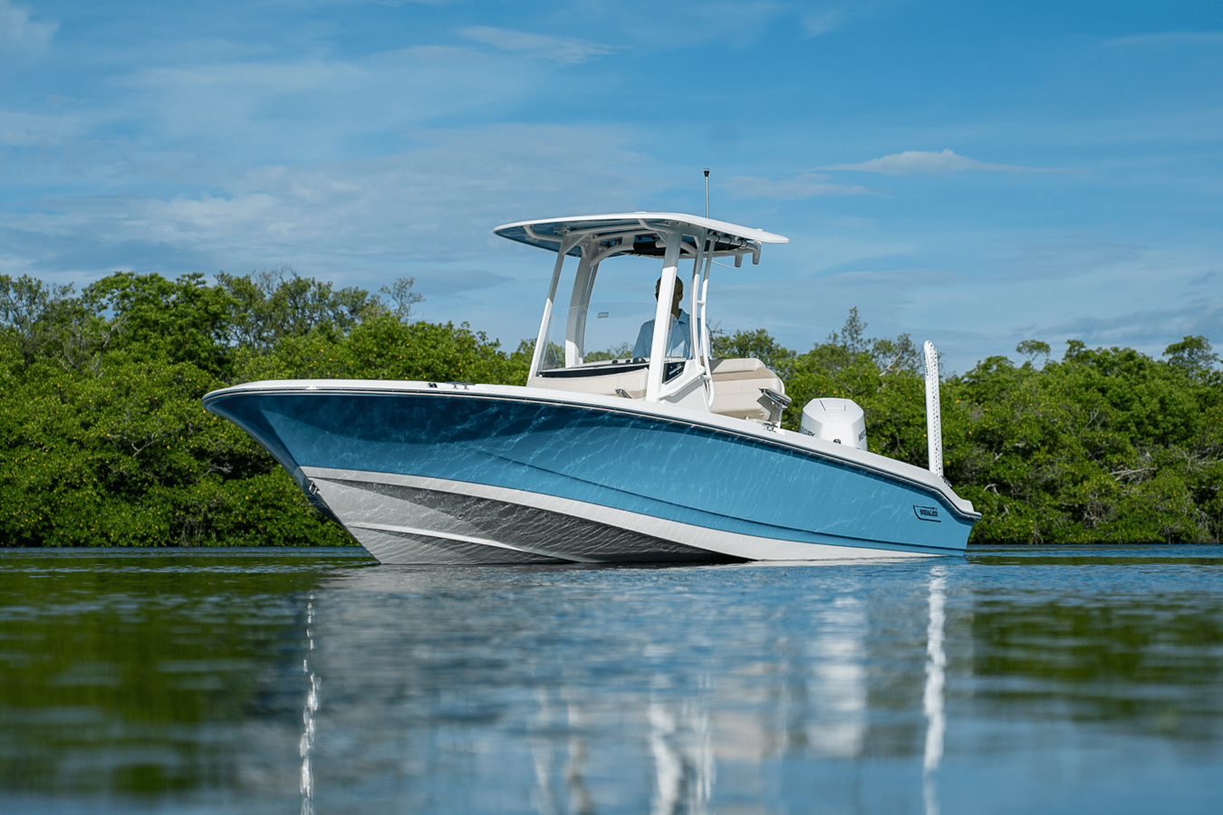 2026 Boston Whaler 250 Dauntless 28
