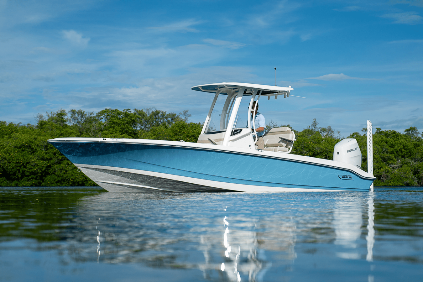 2026 Boston Whaler 250 Dauntless 29