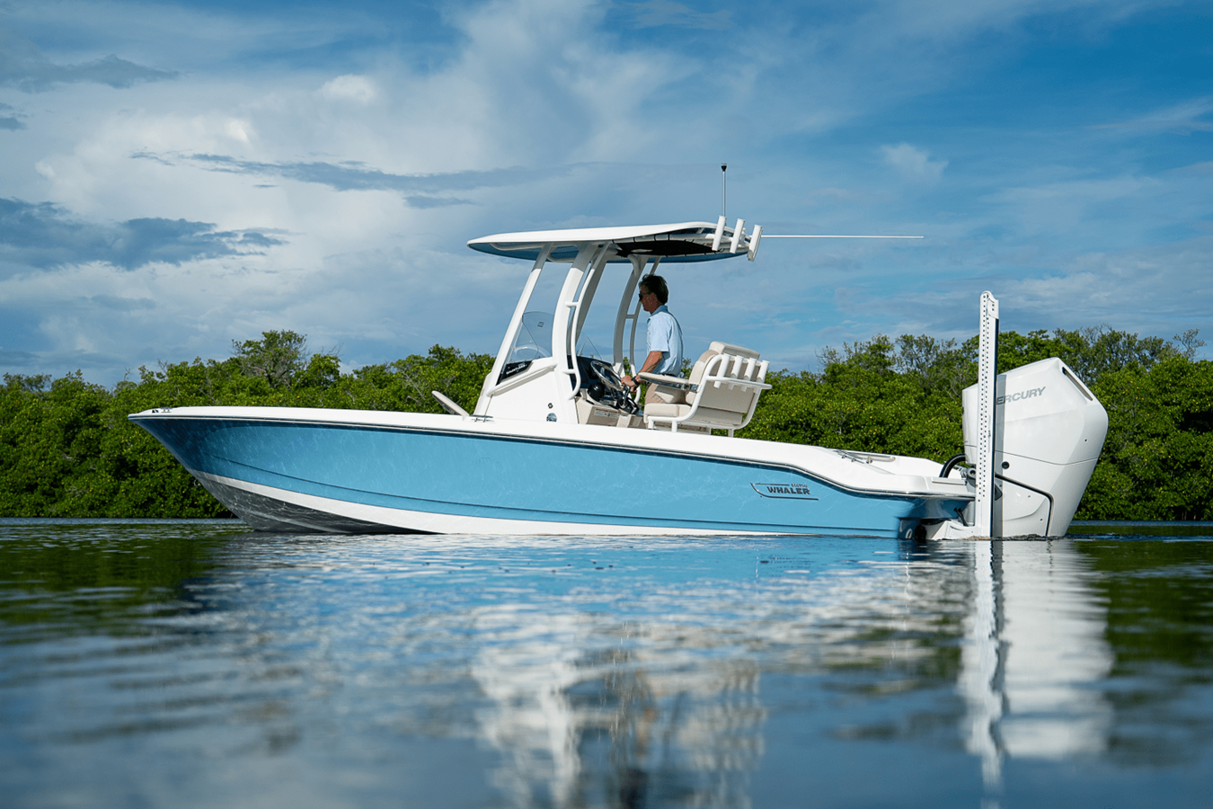 2026 Boston Whaler 250 Dauntless 32