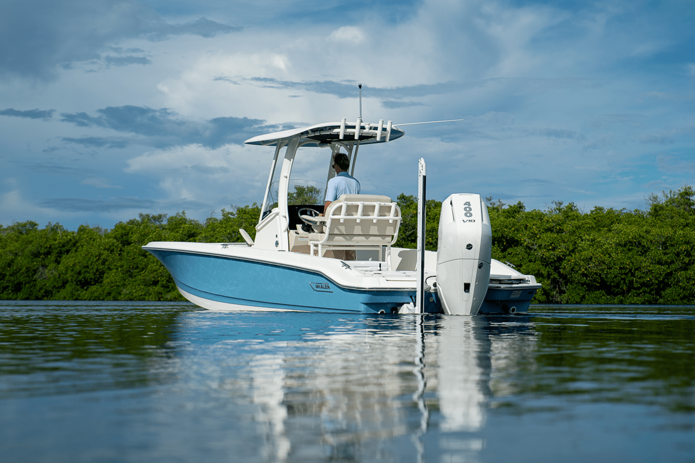 2026 Boston Whaler 250 Dauntless 33