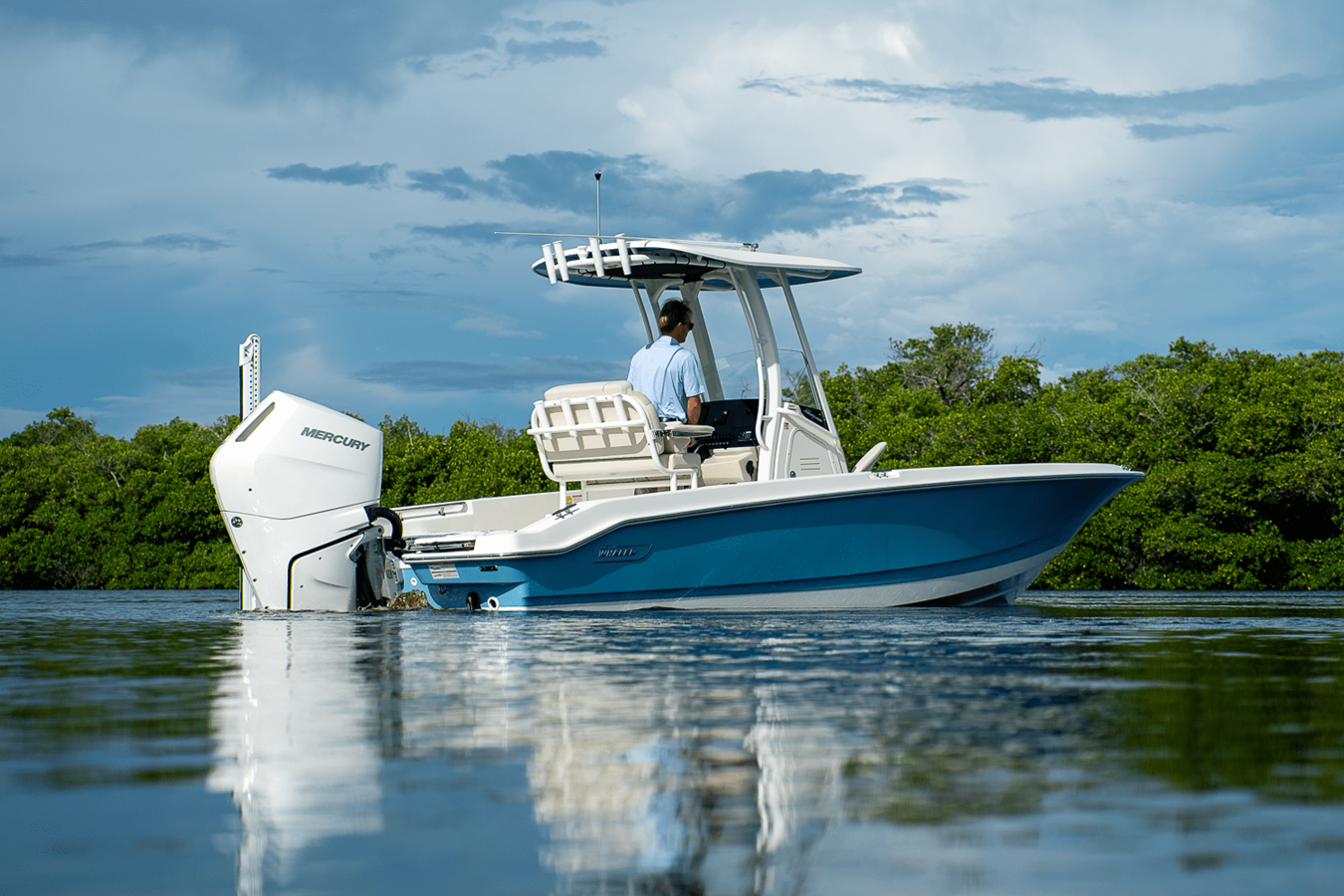 2026 Boston Whaler 250 Dauntless 38