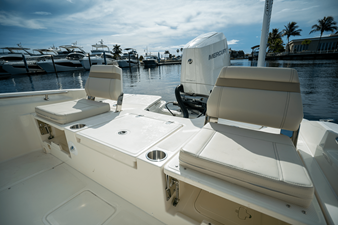 2026 Boston Whaler 250 Dauntless 7