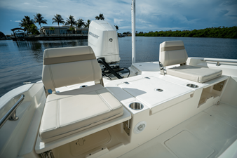 2026 Boston Whaler 250 Dauntless 8
