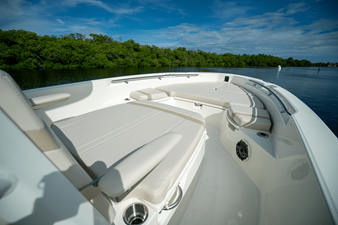 2026 Boston Whaler 250 Dauntless 14