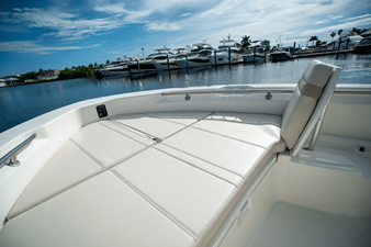 2026 Boston Whaler 250 Dauntless 17