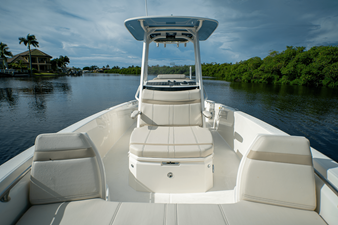 2026 Boston Whaler 250 Dauntless 18