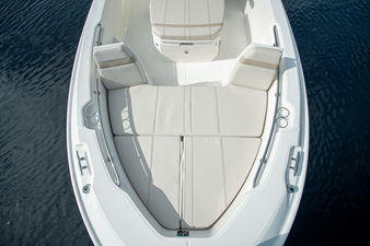 2026 Boston Whaler 250 Dauntless 19