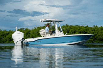 2026 Boston Whaler 250 Dauntless 21