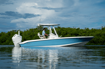 2026 Boston Whaler 250 Dauntless 22