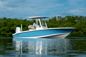 2026 Boston Whaler 250 Dauntless 23